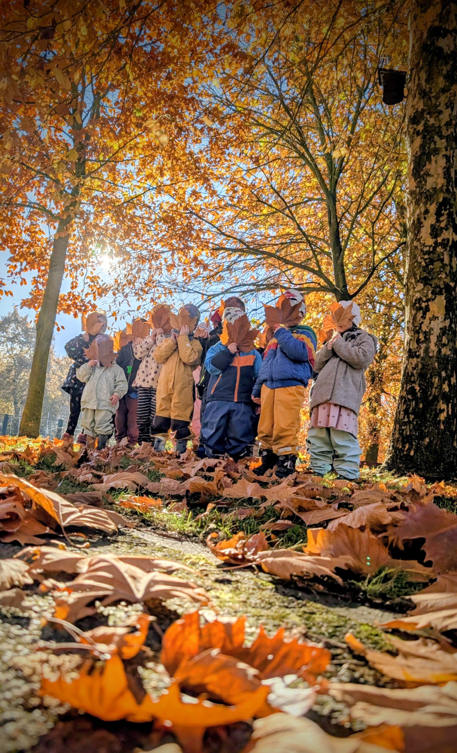 PXL_20251106_085010590.MP~2